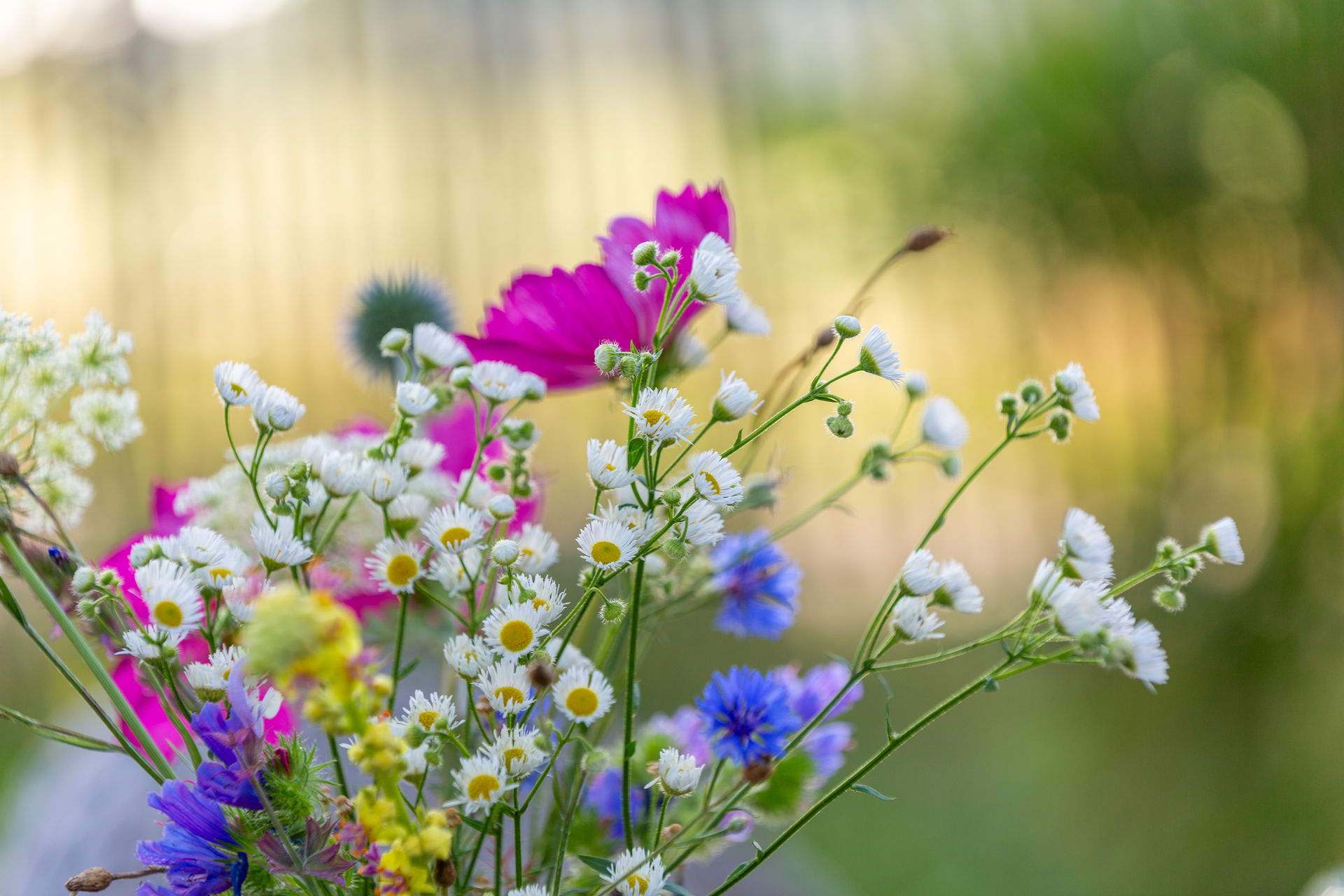 Bloemen ontbijt Bloemen ontbijt
